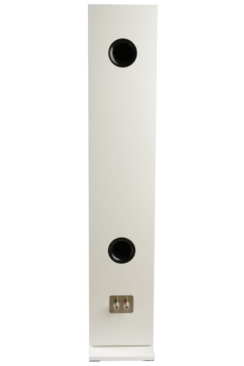 SB Acoustics RINJANI White High-Gloss Complete Speaker Kit - Image 4