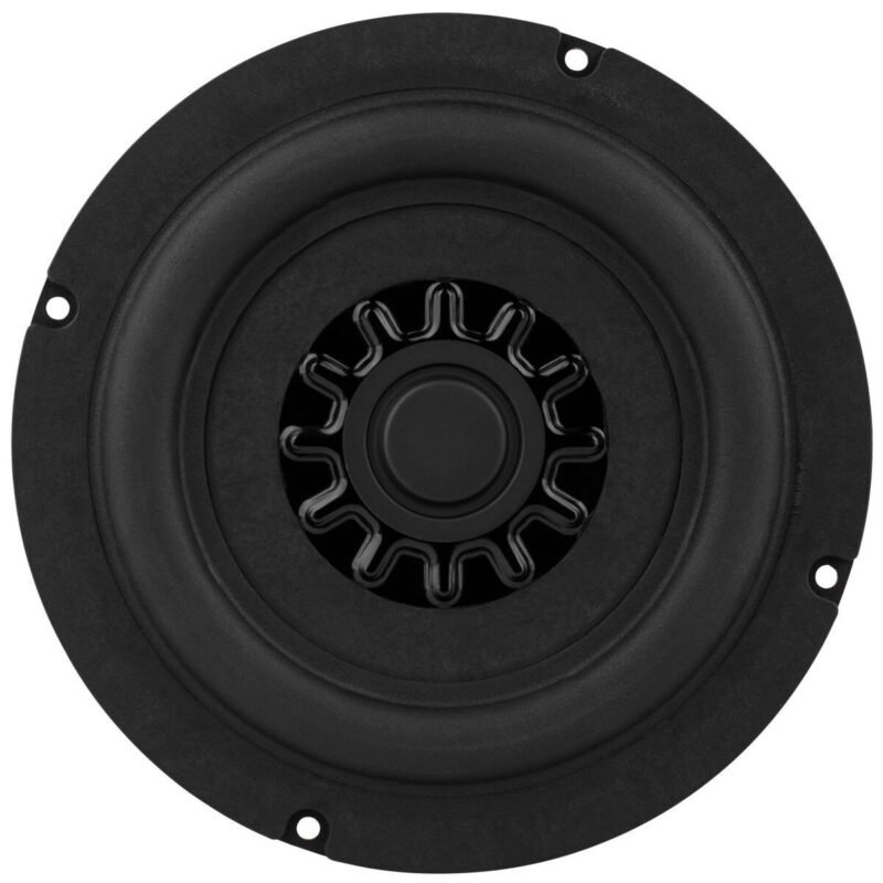 Tang Band W6-2253S Subwoofer - Image 3