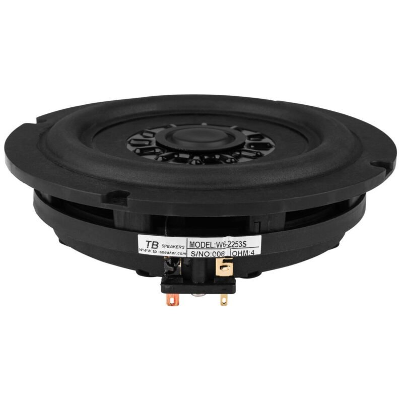 Tang Band W6-2253S Subwoofer