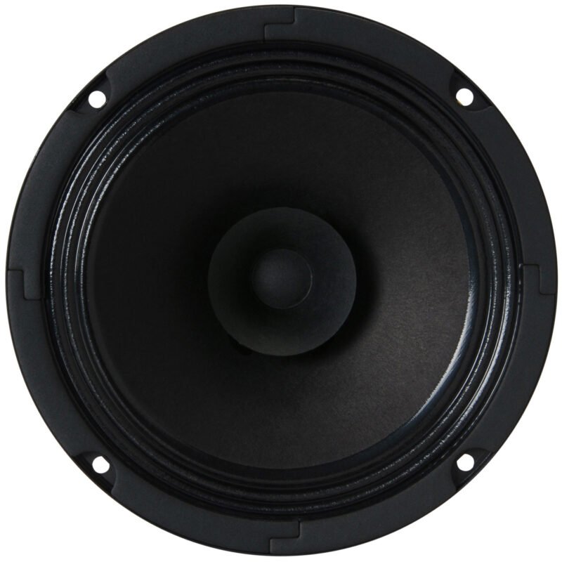 Visaton BG 17 6.5" Full-Range Speaker 8 Ohm - Image 3