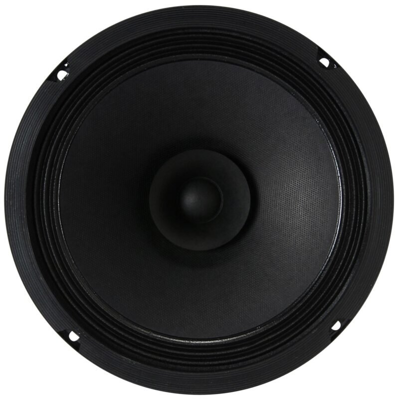 Visaton BG 20 8" Full-Range Speaker 8 Ohm - Image 3