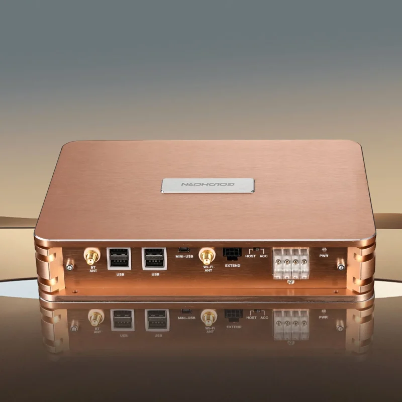 Goldhorn P2 DSP Pro | 12 Channel DSP/DSD Player - Image 2